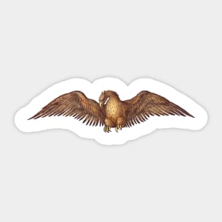 Eagle, Bird, Gold Wings Sticker